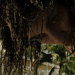 CASINO_ROYALE_337.jpg
