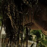 Filename=CASINO_ROYALE_344.jpg
Filesize=852KiB
Dimensions=1920x802
Date added=Jan 19, 2020 CASINO_ROYALE_344.jpg