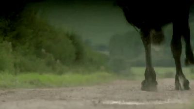 CARMILLA_-_TRAILER_003.jpg