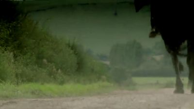 CARMILLA_-_TRAILER_009.jpg