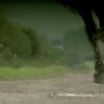 Filename=CARMILLA_-_TRAILER_002.jpg
Filesize=224KiB
Dimensions=1280x720
Date added=Jan 14, 2020 CARMILLA_-_TRAILER_002.jpg