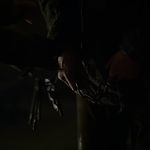 GAME_OF_THRONES_-_E6X06_BLOOD_OF_MY_BLOOD_055.jpg