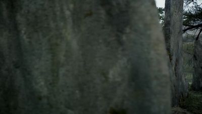 OUTLANDER_-_E1X08_BOTH_SIDES_NOW_0830.jpg