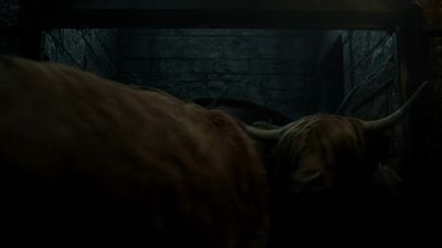 OUTLANDER_-_E1X16_TO_RANSOM_A_MANS_SOUL_0602.jpg