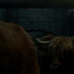 Filename=OUTLANDER_-_E1X16_TO_RANSOM_A_MANS_SOUL_0603.jpg
Filesize=376KiB
Dimensions=1920x1080
Date added=Feb 09, 2020 OUTLANDER_-_E1X16_TO_RANSOM_A_MANS_SOUL_0603.jpg