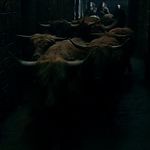 OUTLANDER_-_E1X16_TO_RANSOM_A_MANS_SOUL_0609.jpg