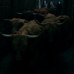 OUTLANDER_-_E1X16_TO_RANSOM_A_MANS_SOUL_0610.jpg