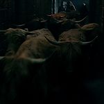 OUTLANDER_-_E1X16_TO_RANSOM_A_MANS_SOUL_0611.jpg