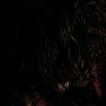 OUTLANDER_-_E1X16_TO_RANSOM_A_MANS_SOUL_1885.jpg
