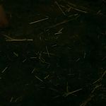 OUTLANDER_-_E1X16_TO_RANSOM_A_MANS_SOUL_2662.jpg