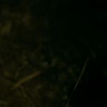 OUTLANDER_-_E1X16_TO_RANSOM_A_MANS_SOUL_2687.jpg