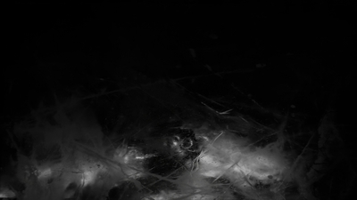 THE_TERROR_-_E1X10_WE_ARE_GONE_0326.jpg