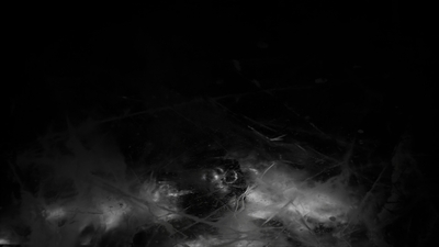 THE_TERROR_-_E1X10_WE_ARE_GONE_0328.jpg