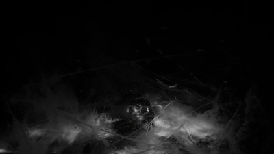 THE_TERROR_-_E1X10_WE_ARE_GONE_0330.jpg