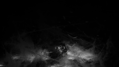 THE_TERROR_-_E1X10_WE_ARE_GONE_0331.jpg