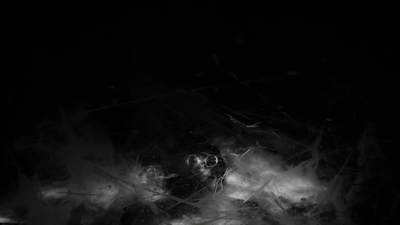 THE_TERROR_-_E1X10_WE_ARE_GONE_0332.jpg