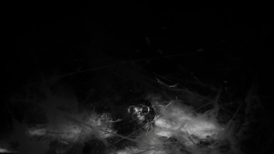 THE_TERROR_-_E1X10_WE_ARE_GONE_0333.jpg