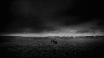 THE_TERROR_-_E1X10_WE_ARE_GONE_0592.jpg