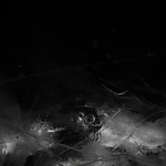 THE_TERROR_-_E1X10_WE_ARE_GONE_0325.jpg