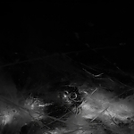 THE_TERROR_-_E1X10_WE_ARE_GONE_0326.jpg