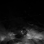 THE_TERROR_-_E1X10_WE_ARE_GONE_0327.jpg