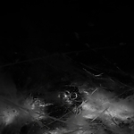 THE_TERROR_-_E1X10_WE_ARE_GONE_0328.jpg