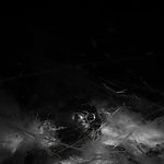 THE_TERROR_-_E1X10_WE_ARE_GONE_0331.jpg