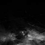 THE_TERROR_-_E1X10_WE_ARE_GONE_0332.jpg
