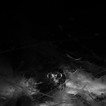 THE_TERROR_-_E1X10_WE_ARE_GONE_0333.jpg