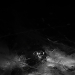 THE_TERROR_-_E1X10_WE_ARE_GONE_0334.jpg