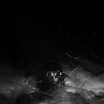 THE_TERROR_-_E1X10_WE_ARE_GONE_0336.jpg
