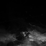 THE_TERROR_-_E1X10_WE_ARE_GONE_0337.jpg