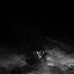THE_TERROR_-_E1X10_WE_ARE_GONE_0338.jpg