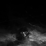 THE_TERROR_-_E1X10_WE_ARE_GONE_0340.jpg