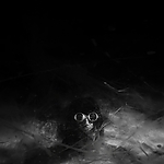 THE_TERROR_-_E1X10_WE_ARE_GONE_0342.jpg