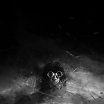THE_TERROR_-_E1X10_WE_ARE_GONE_0350.jpg