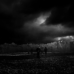 THE_TERROR_-_E1X10_WE_ARE_GONE_0577.jpg