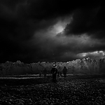 THE_TERROR_-_E1X10_WE_ARE_GONE_0579.jpg