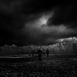 THE_TERROR_-_E1X10_WE_ARE_GONE_0580.jpg