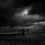THE_TERROR_-_E1X10_WE_ARE_GONE_0582.jpg
