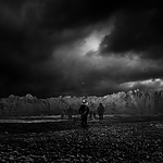 THE_TERROR_-_E1X10_WE_ARE_GONE_0583.jpg