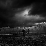 THE_TERROR_-_E1X10_WE_ARE_GONE_0584.jpg