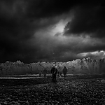 THE_TERROR_-_E1X10_WE_ARE_GONE_0585.jpg