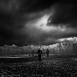 THE_TERROR_-_E1X10_WE_ARE_GONE_0587.jpg