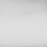 THE_TERROR_-_E1X10_WE_ARE_GONE_0646.jpg